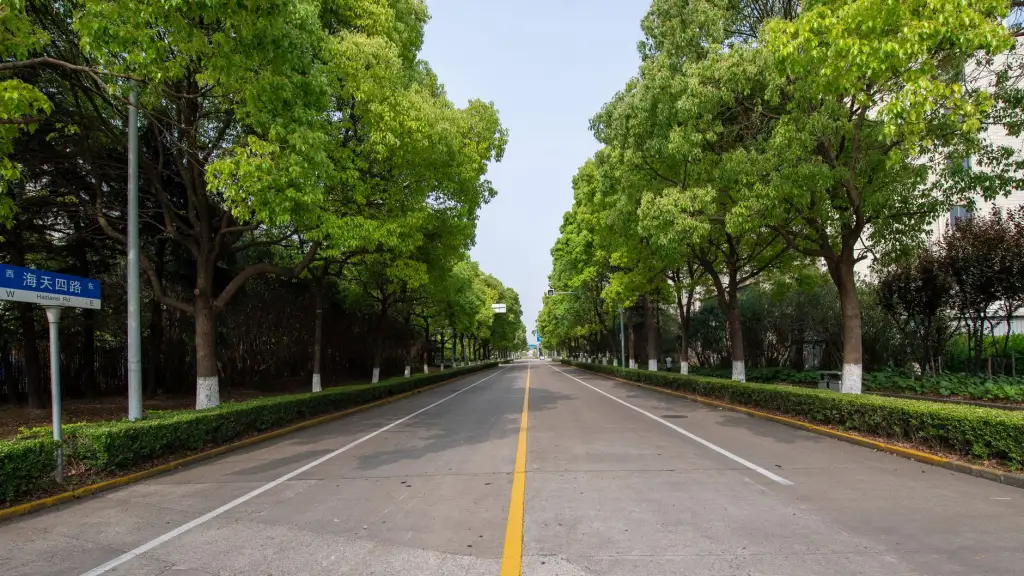 2025年福建区域软件开发外包服务趋势分析